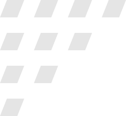 VinFast pattern
